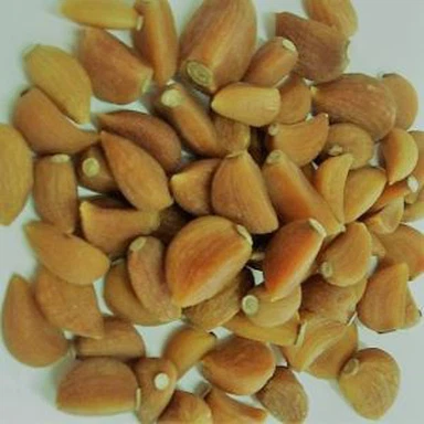 Biologische knoflookteentjes